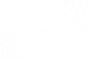 RISK MANAGEMENT GROUP